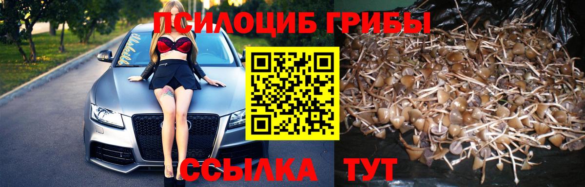 Псилоцибиновые грибы мухоморы Боровичи