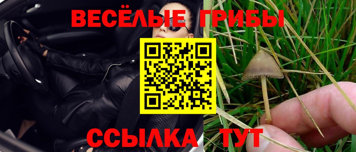 Боровичи  Псилоцибиновые грибы мухоморы  Вход с VPN 